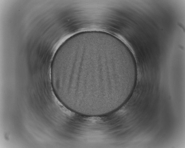 X0000101141388200807251016