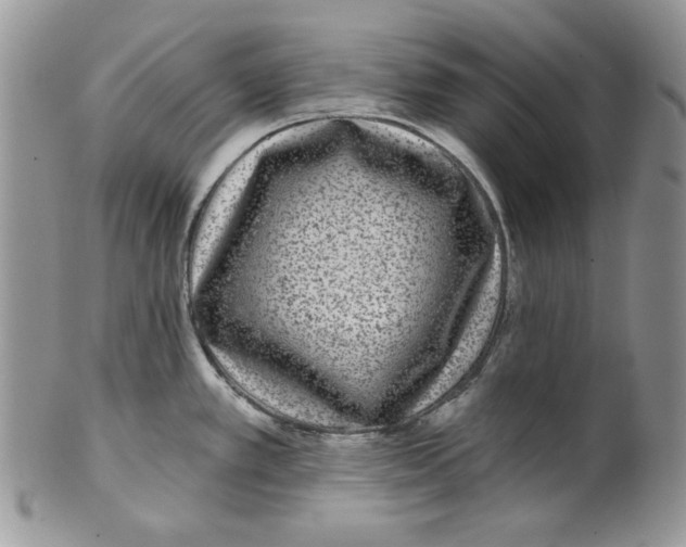 X0000101141389200807251016