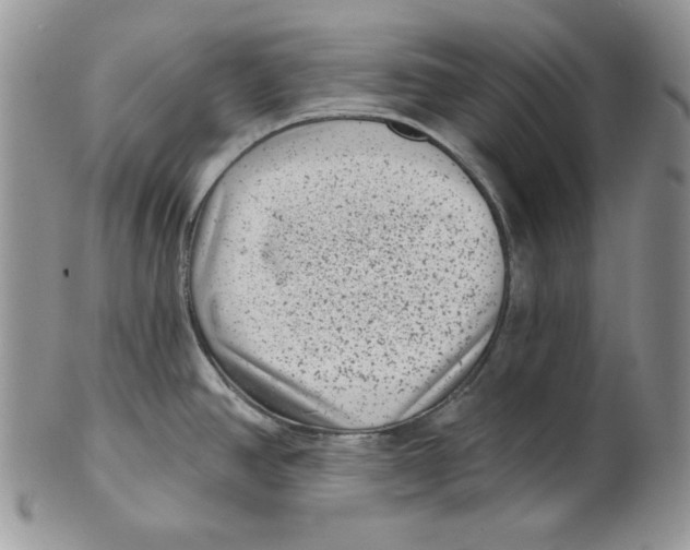 X0000101141390200807251016