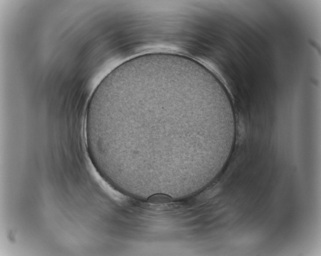 X0000101141391200807251016