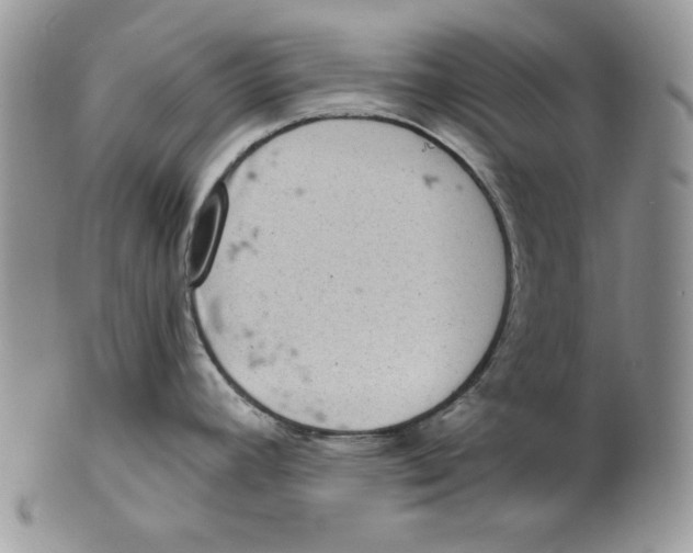 X0000101141392200807251016