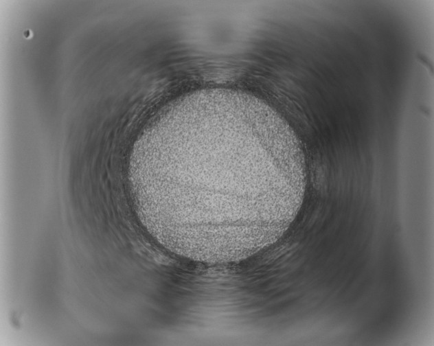 X0000101141393200807251015