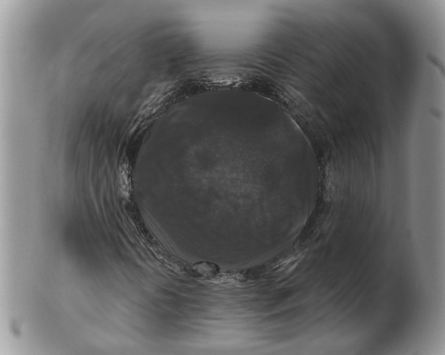 X0000101141394200807251015