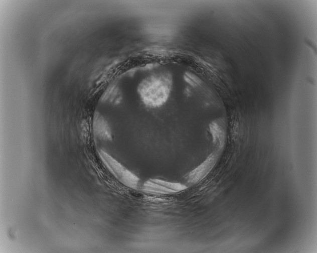 X0000101141397200807251015