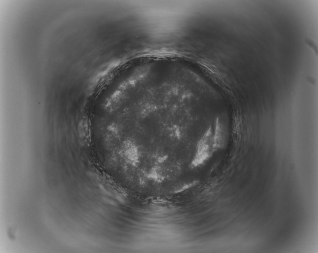 X0000101141398200807251015