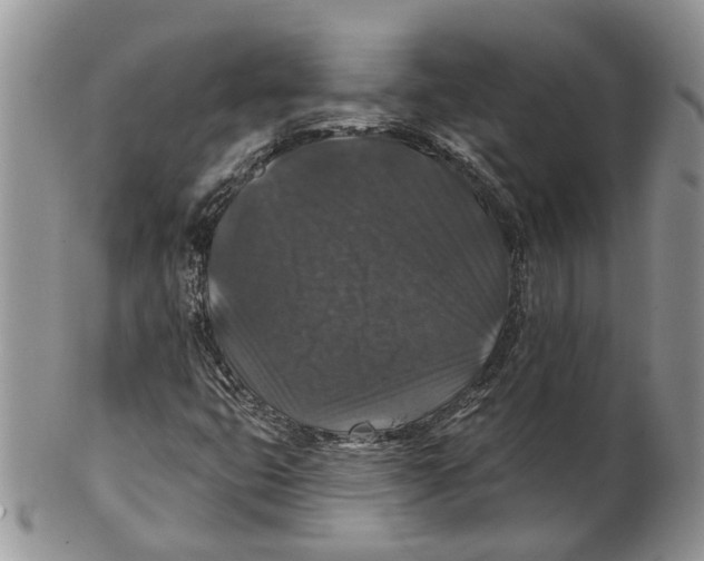 X0000101141399200807251015