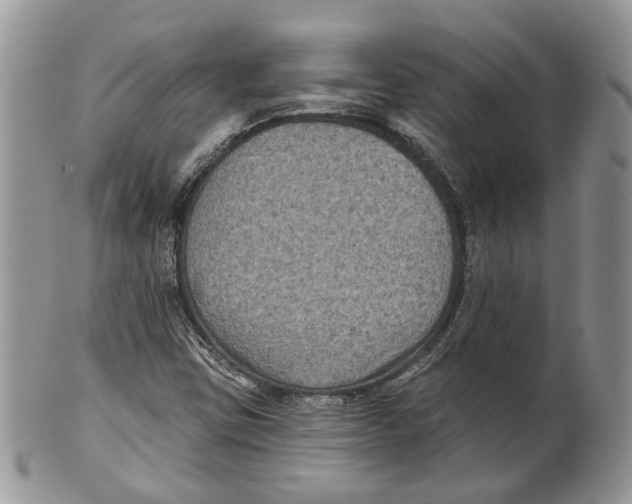 X0000101141403200807251015