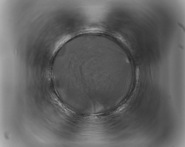 X0000101141405200807251015