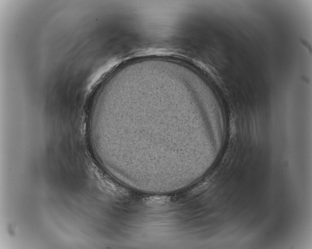 X0000101141406200807251015