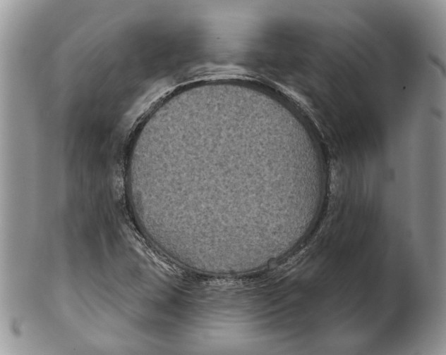 X0000101141407200807251015