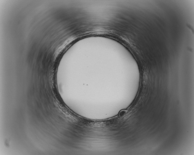 X0000101141410200807251015