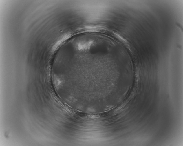 X0000101141411200807251015