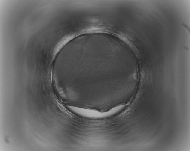 X0000101141413200807251016