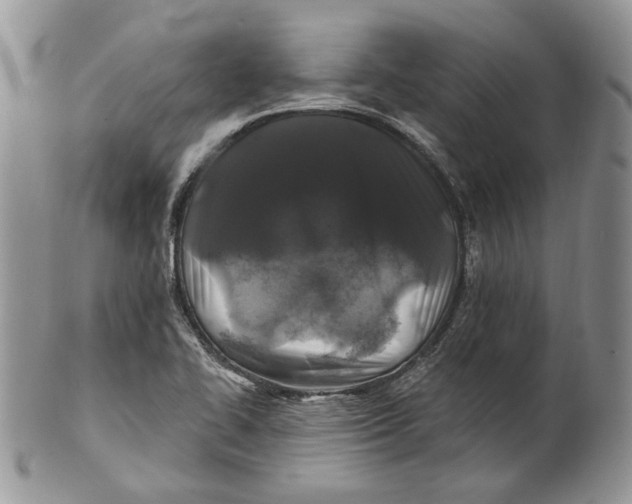 X0000101141414200807251016