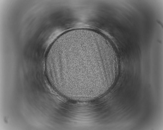 X0000101141415200807251016