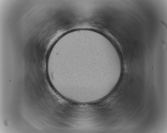 X0000101141416200807251016