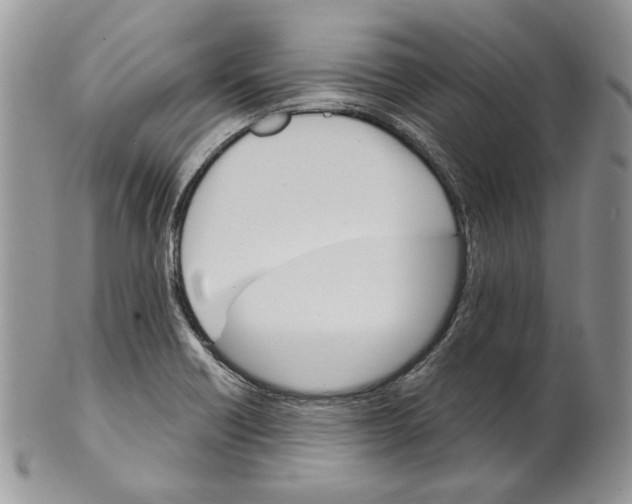 X0000101141418200807251016