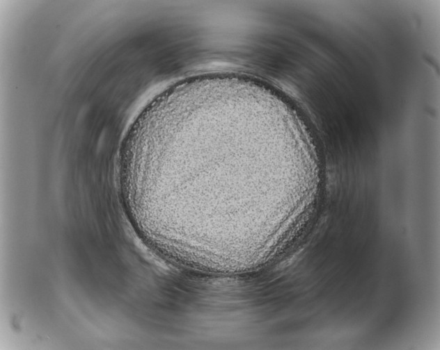 X0000101141421200807251016