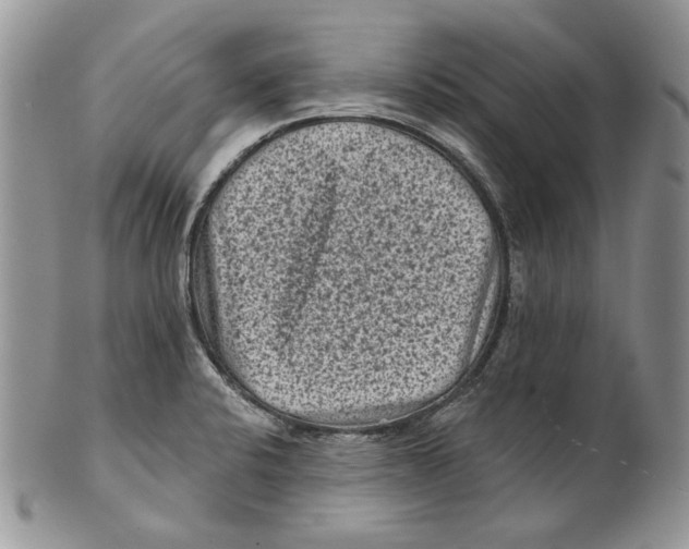 X0000101141424200807251016