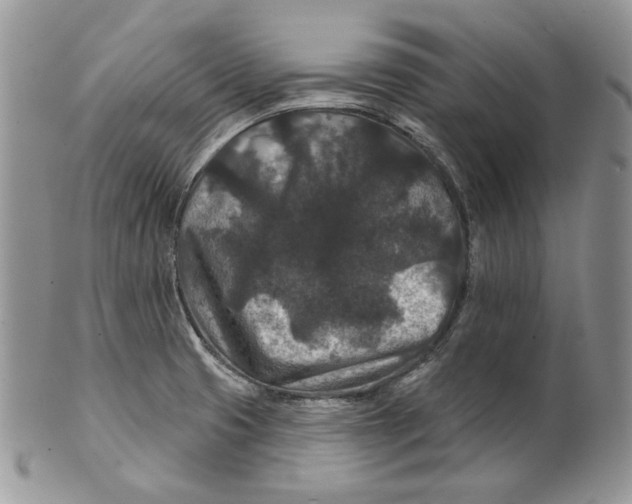 X0000101141425200807251016