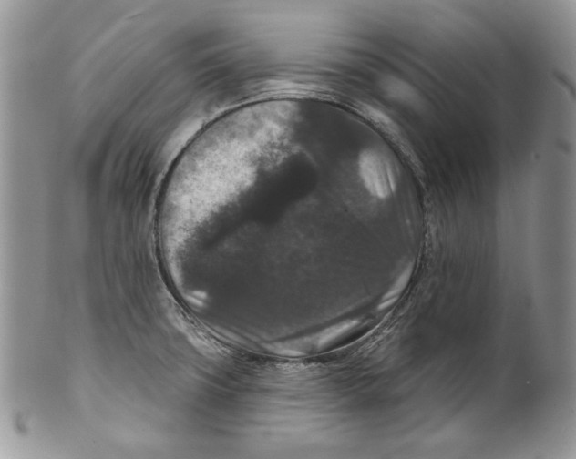 X0000101141427200807251016