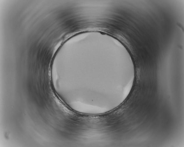 X0000101141428200807251016