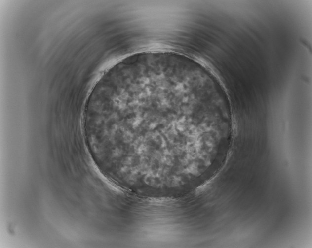 X0000101141429200807251016