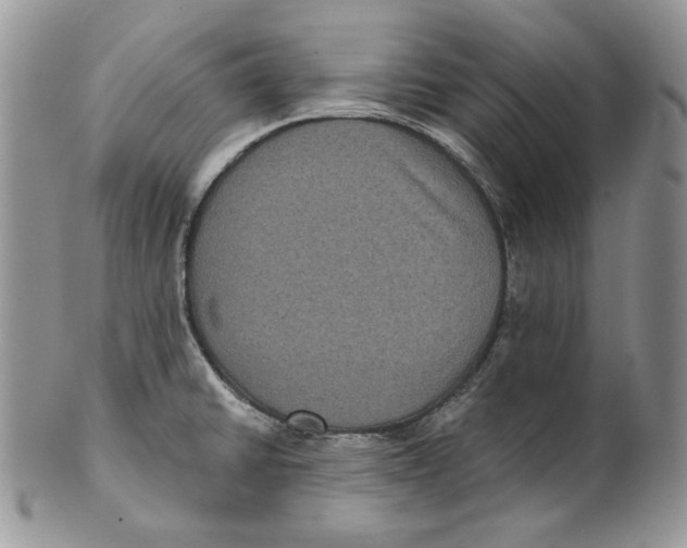 X0000101141430200807251016