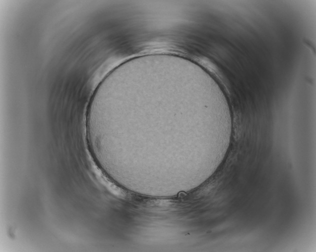 X0000101141431200807251016