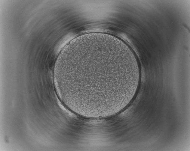 X0000101141433200807251016