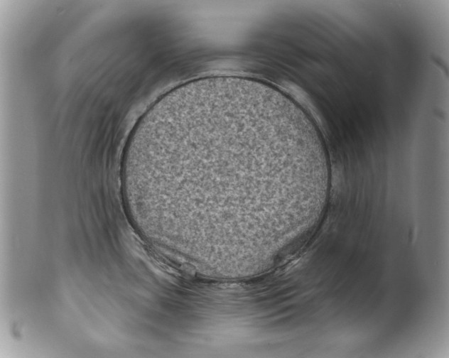 X0000101141435200807251016