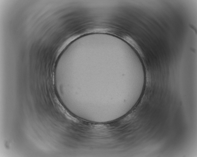 X0000101141436200807251016