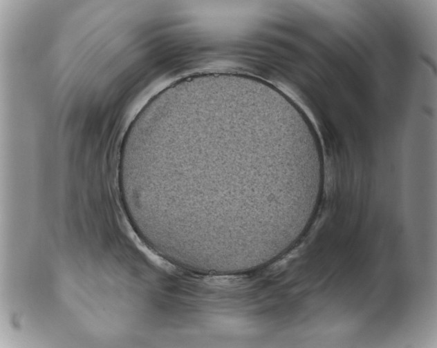 X0000101141437200807251016