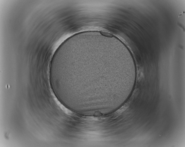 X0000101141438200807251016