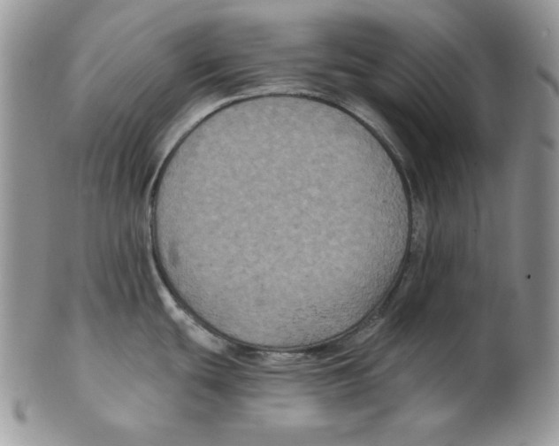 X0000101141439200807251016