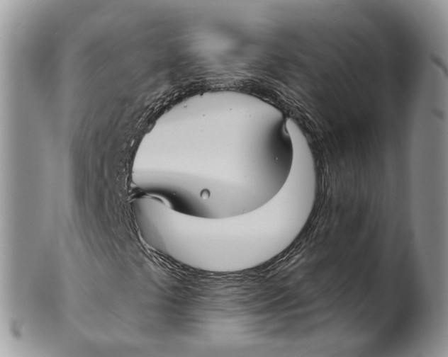 X0000101141441200807251015