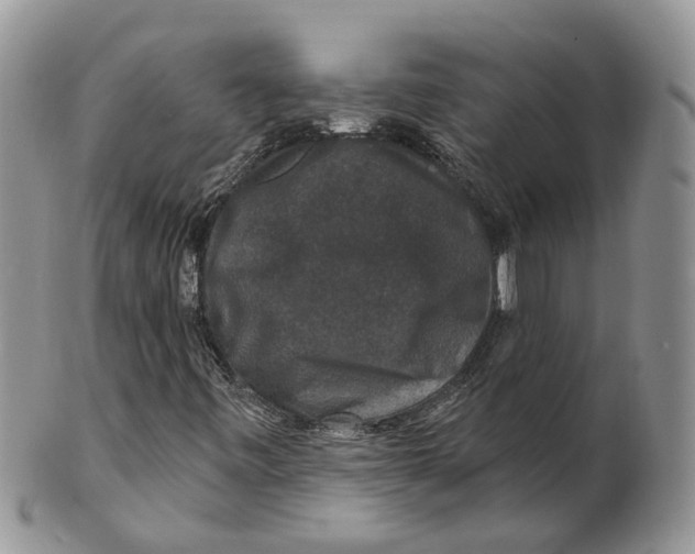 X0000101141443200807251015