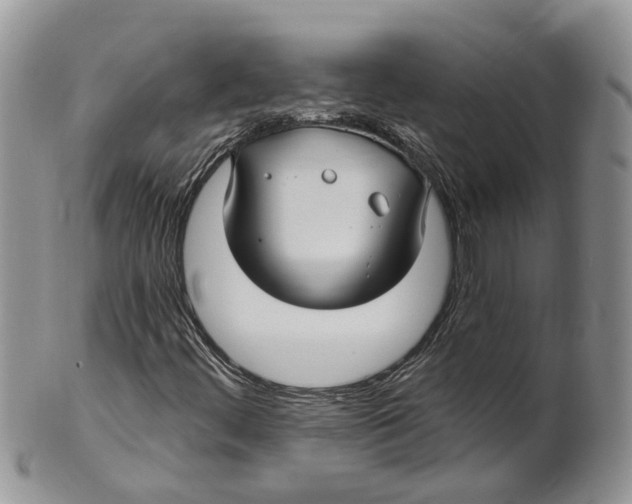 X0000101141444200807251015