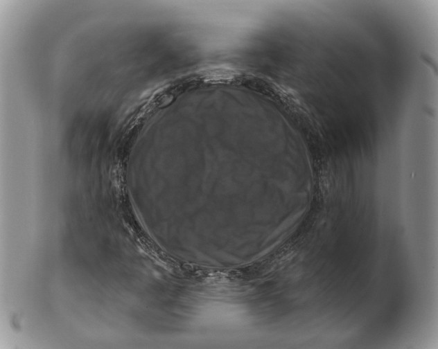 X0000101141445200807251015