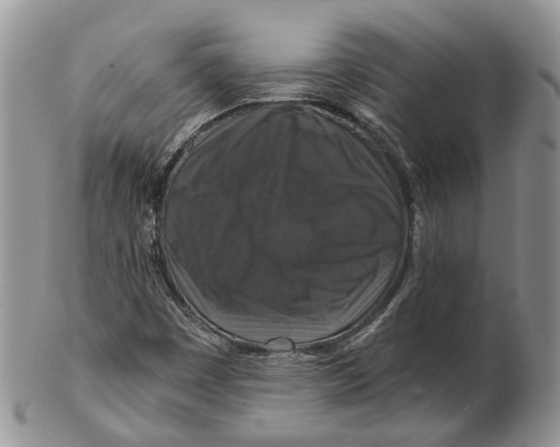 X0000101141449200807251015