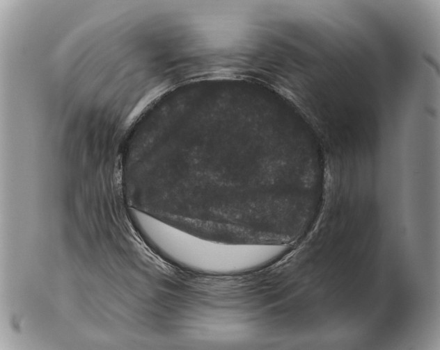 X0000101141450200807251015