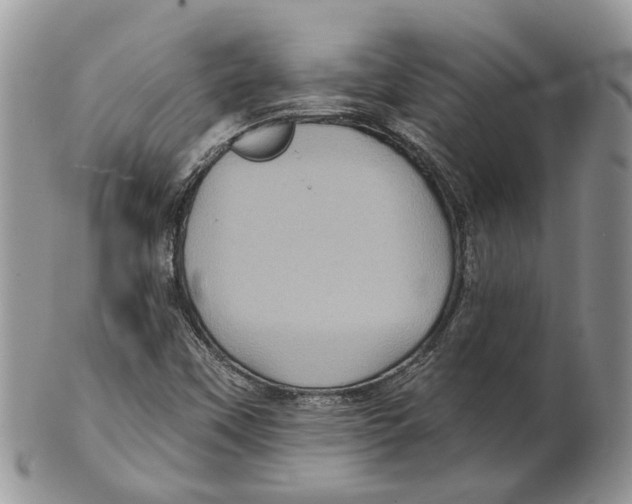 X0000101141451200807251015