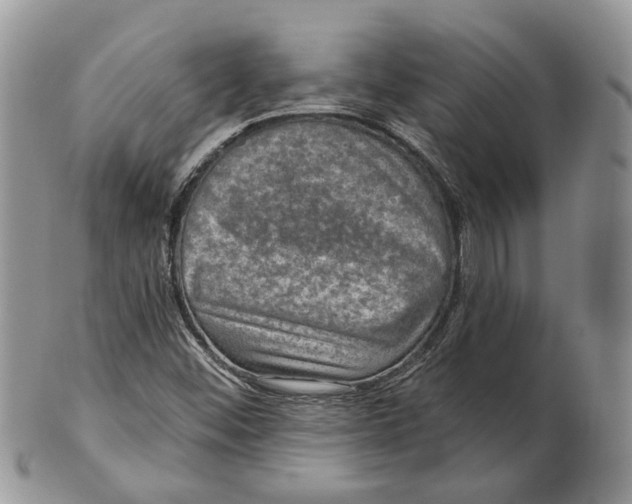 X0000101141452200807251015