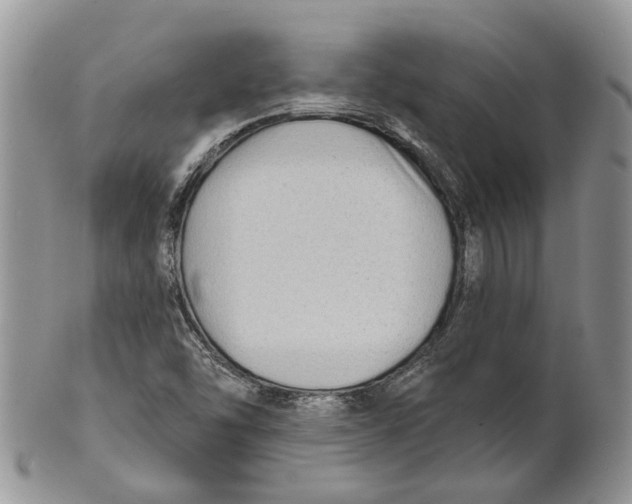 X0000101141454200807251015