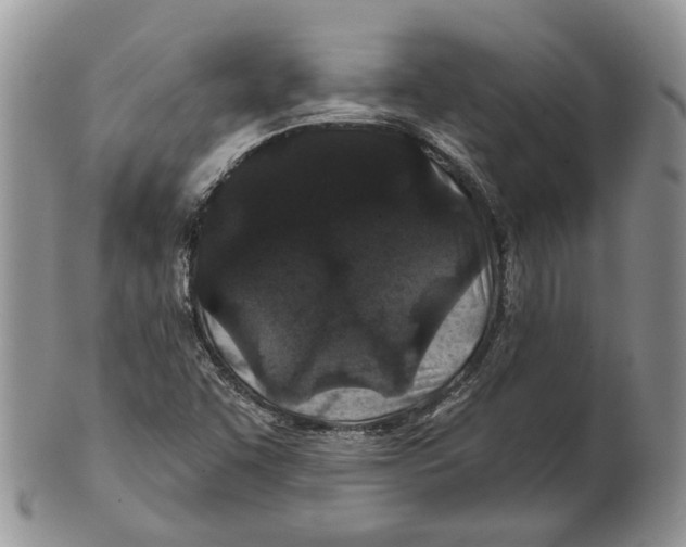 X0000101141455200807251015