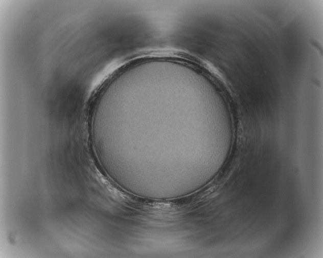 X0000101141456200807251015