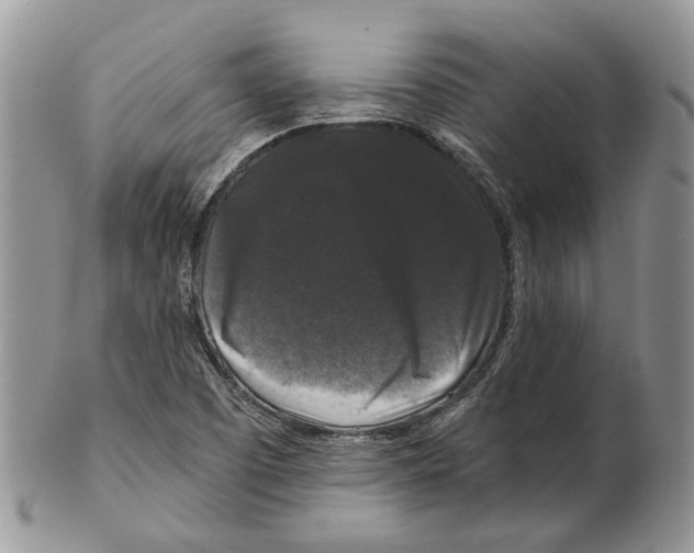 X0000101141457200807251015