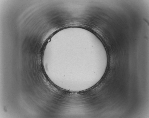 X0000101141458200807251015