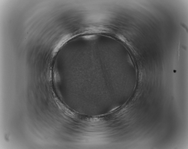 X0000101141459200807251015