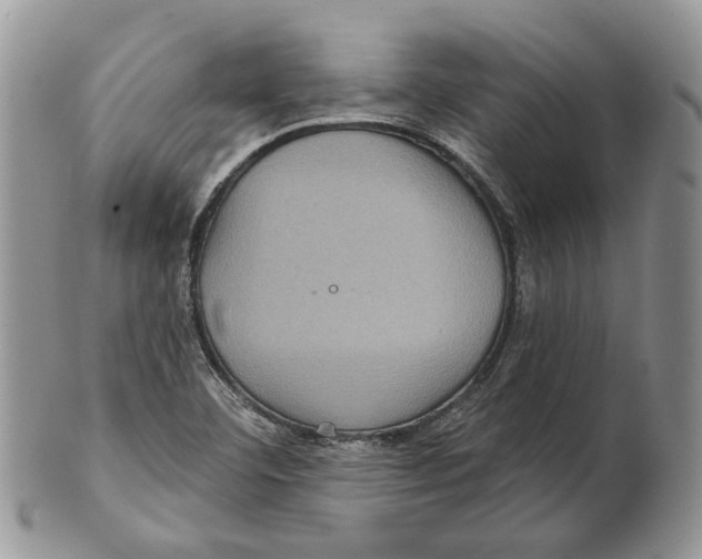 X0000101141460200807251015